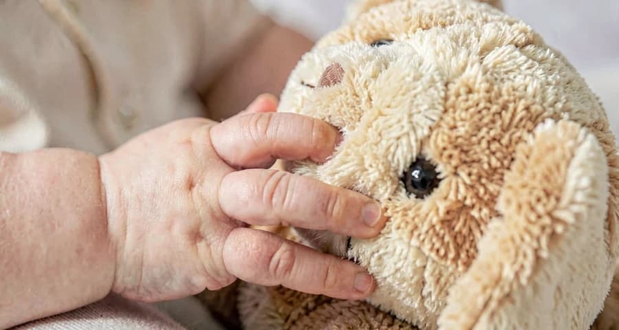 bebê tocando pelúcia de cachorro durante atividade sobre animais na creche