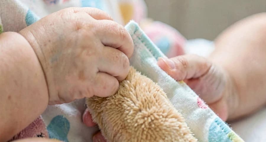 mão de bebê revelando boneco de animal escondido sob pano na creche